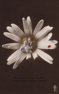 Et ungt par i midten af en blomst med mariehøne (tonet fotocollage) af French Photographer