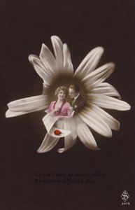 Et ungt par i midten af en blomst med mariehøne (tonet fotocollage) af French Photographer