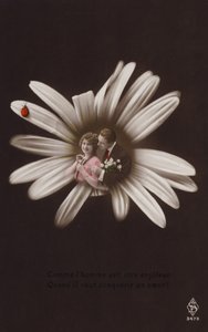 Et ungt par i midten af en blomst med mariehøne (tonet fotocollage) af French Photographer