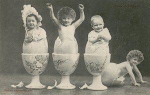 Babyer, der klækker fra æg i æggebægre (s/h-billede) af French Photographer