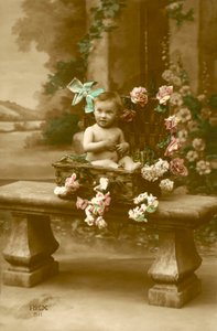 Baby i kurv af French Photographer