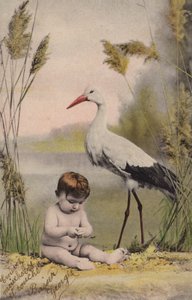 Baby med stork af French Photographer