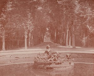 Basin of Flora, Versailles Park (s/h foto) af French Photographer