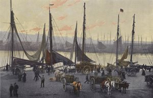 Boulogne-sur-Mer, Forberedelser til sildefiskeri af French Photographer