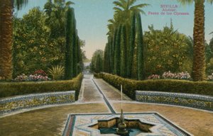 Cypress Walk, Alcazar, i Sevilla, Spanien. Postkort sendt i 1913. af French Photographer