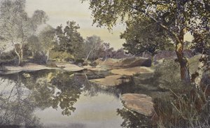 Fontainebleau, Skov, Mare de Franchard af French Photographer
