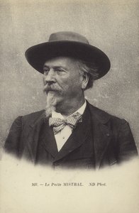 Frederic Mistral (1830-1914), fransk digter og leksikograf af det occitanske sprog af French Photographer