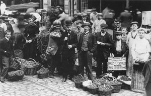 Gartnere på Les Halles-markedet, Paris, 1907 af French Photographer