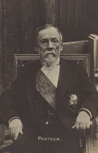Louis Pasteur (1822-1895), fransk kemiker og mikrobiolog af French Photographer