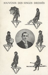 Abe i kostume af French Photographer