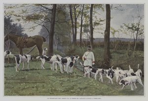 Pakke med hunde af Baron de Carayon-Latour i Virelade, Frankrig (farvefoto) af French Photographer