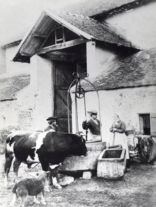 Bønder omkring en brønd, i en gård, ca. 1860-70 (s/h foto) af French Photographer