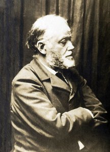 Portræt af Henri Fantin Latour (Fantin-Latour af French Photographer