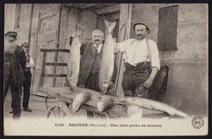 Postkort med en god fangst af laks i Brioude, Haute-Loire, ca. 1900 af French Photographer