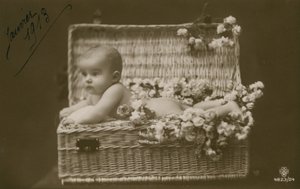Postkort af en baby i en flettet kurv med blomster, sendt i januar 1913 af French Photographer