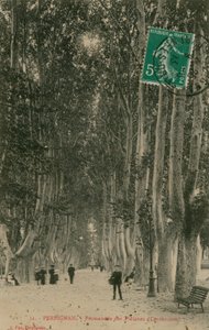 Promenade des Platanes i Perpignan. Postkort sendt i 1913. af French Photographer