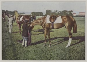 Væddeløbsheste i Deauville, Frankrig (farvefoto) af French Photographer