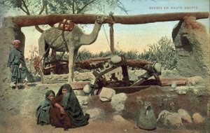 Sakia, Øvre Egypten (farvefoto) af French Photographer