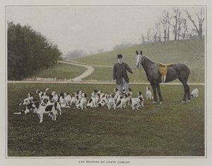 Grev Cowleys beagler (farvefoto) af French Photographer