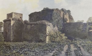 Tiffauges, ruinerne af slottet, udsigt taget fra gården af French Photographer