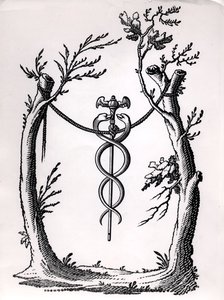 I Caduceus af French School