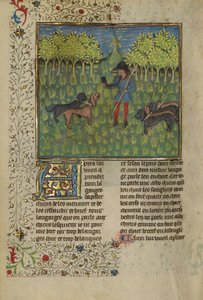 En jæger træner hunde til at reagere på et horns kald, ca. 1430-40 (tempera, guld- og sølvmaling og bladguld på pergament) af French School