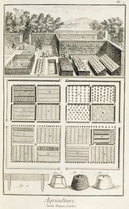 En køkkenhave fra The Encyclopedia of Science, Art and Engineering af Denis Diderot (1713-84), ca. 1770 af French School