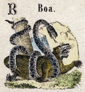 Abecedary. Bogstav B ligesom Boa. Lille encyklopædisk alfabet, populær serie. Epinal billeddannelse, slutningen af det 19. århundrede af French School