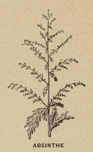 Absint (gravering) af French School