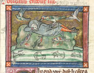 Ein schlafender Mann umgeben von Vögeln, Illustration aus 