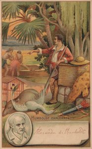 Alexander von Humboldt, preussisk geograf, naturforsker og opdagelsesrejsende af French School