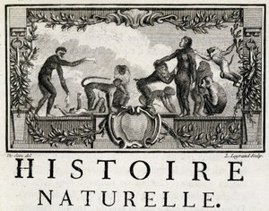 Allegori om naturhistorie på aberne - i "" Natural, generel og særlig historie"" af Buffon af French School