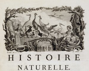 Allegory of Natural History on Birds - in "" Natural, General and Particular History"" af Buffon af French School