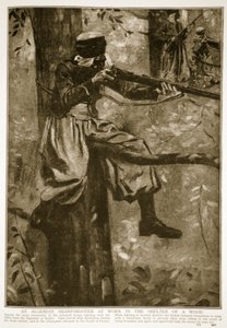 En algerisk skarpskytte på arbejde i ly af en skov, 1914-19 af French School
