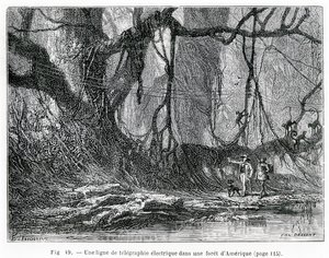 En elektrisk telegraflinje i en amerikansk skov, ca. 1870 (gravering) af French School