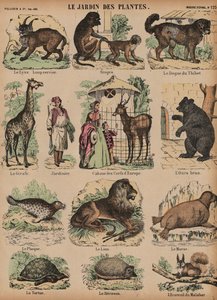 Animals of the Jardin des Plantes, Paris, Francedani af French School