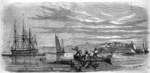 Baby indsamlet af mosserne fra fregatskolen "Thetis"". Brest (Finistere, 29) af French School