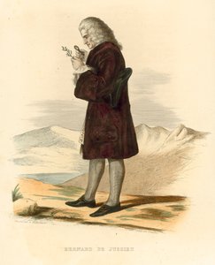 Bernard de Jussieu (farvet gravering) af French School