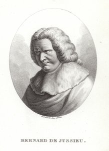 Bernard af Jussieu af French School