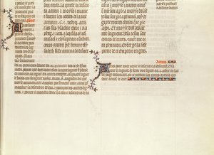 Nederst på en side uden miniature, fra The Bible of Jean de Sy, c.1355