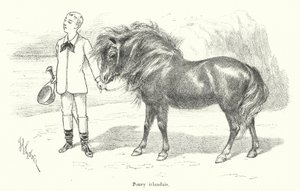 Dreng med en irsk pony (gravering) af French School