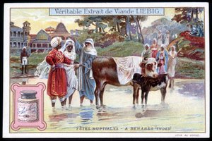 Brudefester i Benares, Indien - chromo. Liebig, v. 1895 af French School