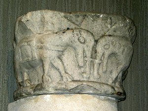 Kapitel mit Elefanten