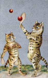 Katte, der spiller tennis - postkort tidligt i det 20. århundrede. af French School