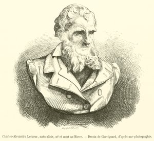 Charles-Alexandre Lesueur, naturforsker, født og død i Le Havre (gravering) af French School