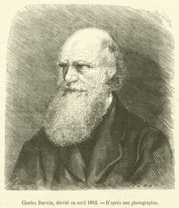Charles Darwin, decede en april 1882 (gravering) af French School