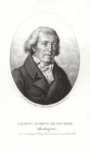 Charles Dumont af Sainte-Croix af French School