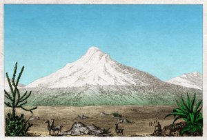 Chimborazo vulkan. (stik, ca. 1840) af French School