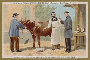 Chocolat dAiguebelle handelskort af French School