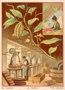 Kakao (chromolitho) af French School